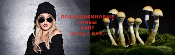 ГАЛЛЮЦИНОГЕННЫЕ ГРИБЫ Нефтегорск