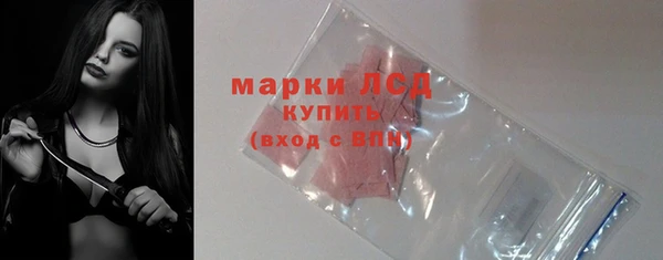 ГАЛЛЮЦИНОГЕННЫЕ ГРИБЫ Новозыбков