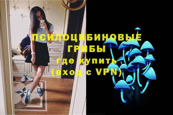 ГАЛЛЮЦИНОГЕННЫЕ ГРИБЫ Новозыбков