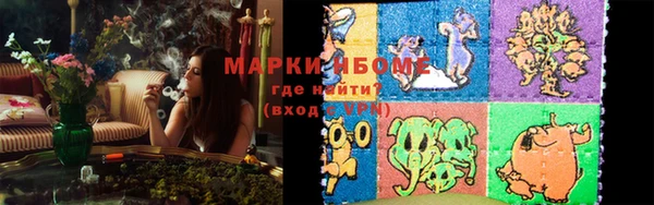 ГАЛЛЮЦИНОГЕННЫЕ ГРИБЫ Новозыбков