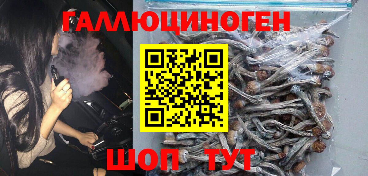 Магадан  Псилоцибиновые грибы Psilocybine cubensis  Вход с VPN 