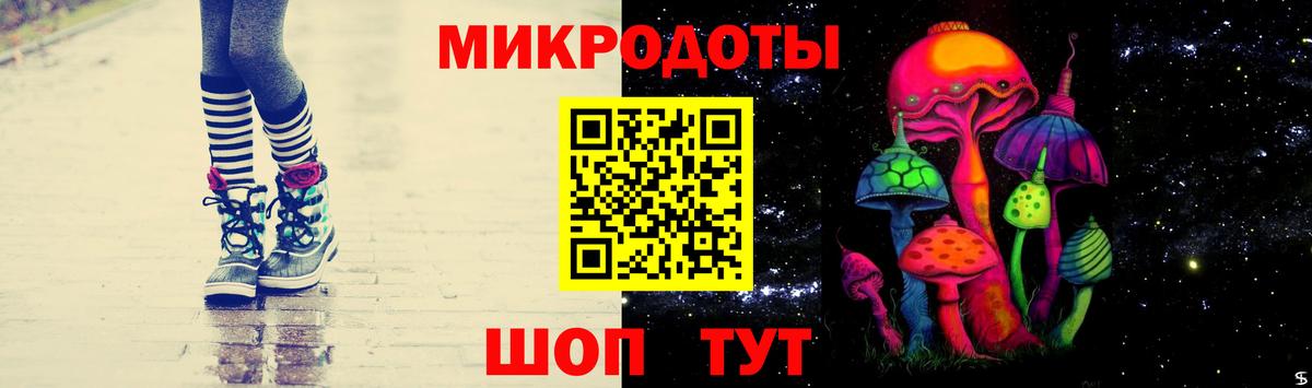 Псилоцибиновые грибы мухоморы Магадан